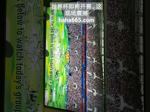 拜仁客场,完胜多特,凯恩帽子戏,新葡京,新葡京app,新葡京娱乐,新普京赌场