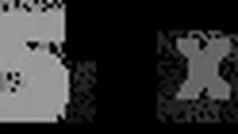 “紧急速报：31+6后卫回归NBA，戈登正面回应拉文挑战，莫兰特转会目的地揭晓”